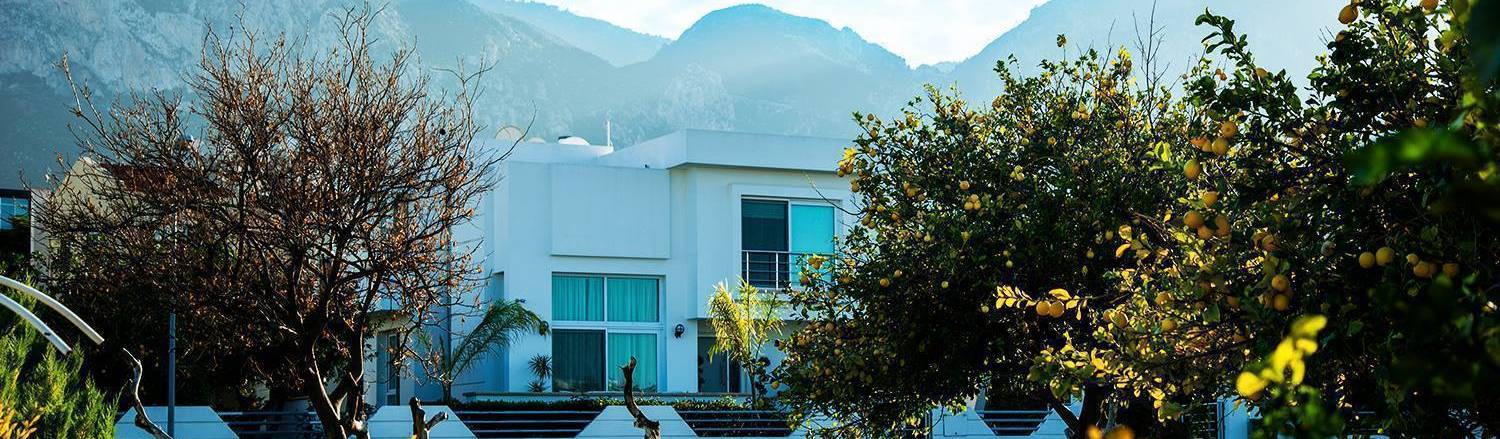 Ozyalcin Construction Girne Kibris Insaat Sirketleri Homify