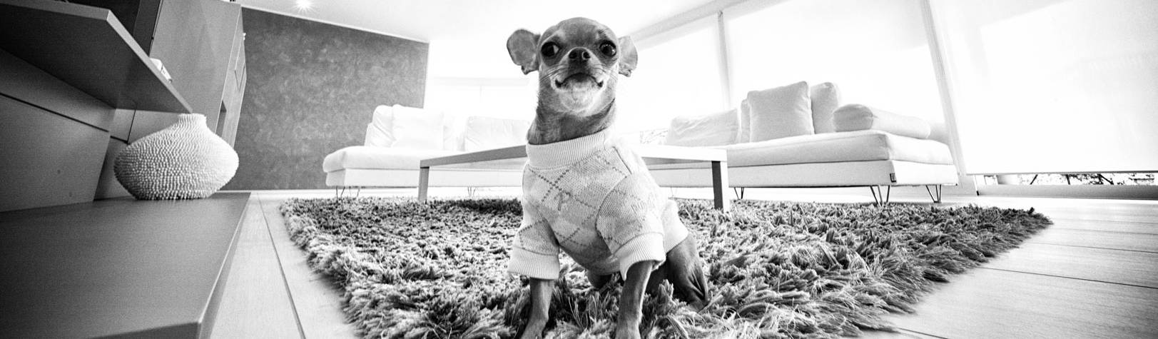 Studio Farina Zerozero – Foto &amp; Video