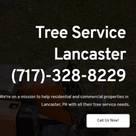 Tree Service Lancaster PA