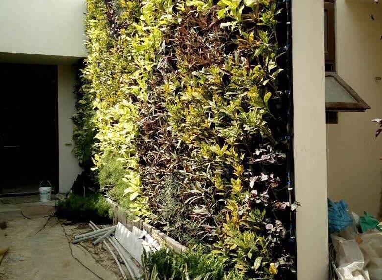 Vertical Garden In Hero Ajith House At Chennai Homify 4th seaward road, valmiki nager, thiruvanmiyur, chennai, india. homify