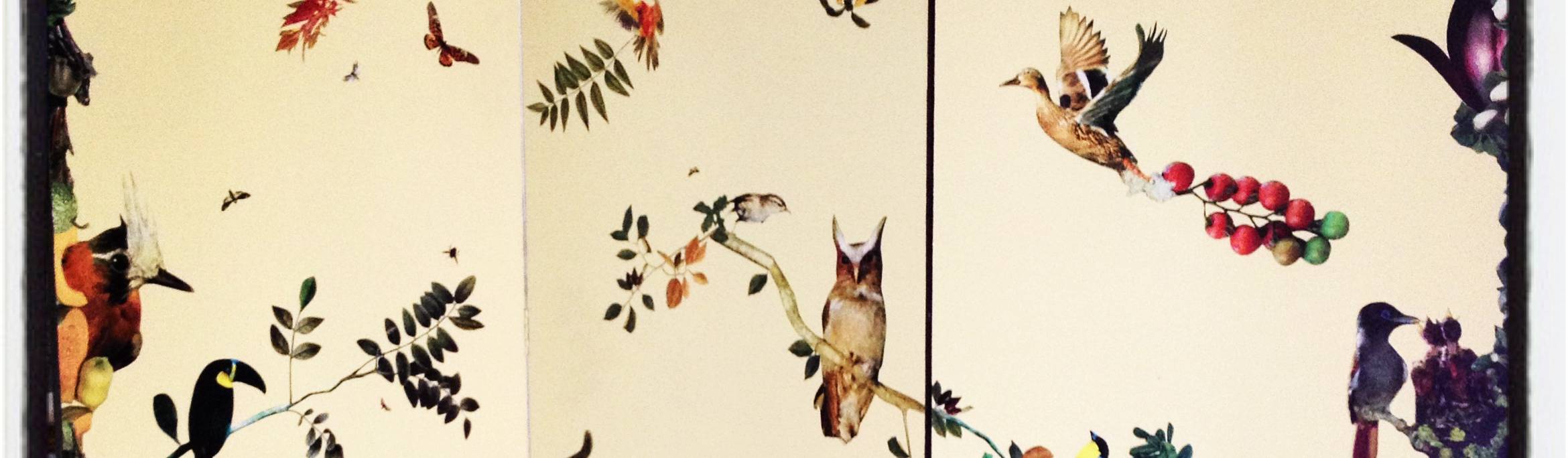 beatriz Khouri Nature Call