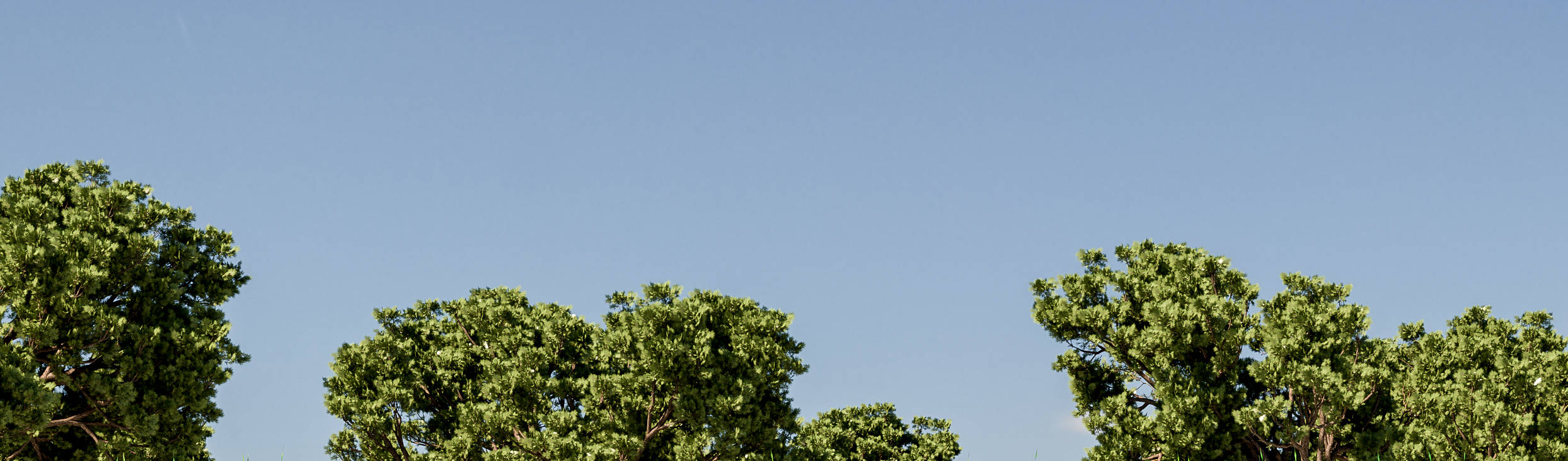 3D ART—Image|Film|Print