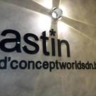 Astin D Concept World Sdn.Bhd