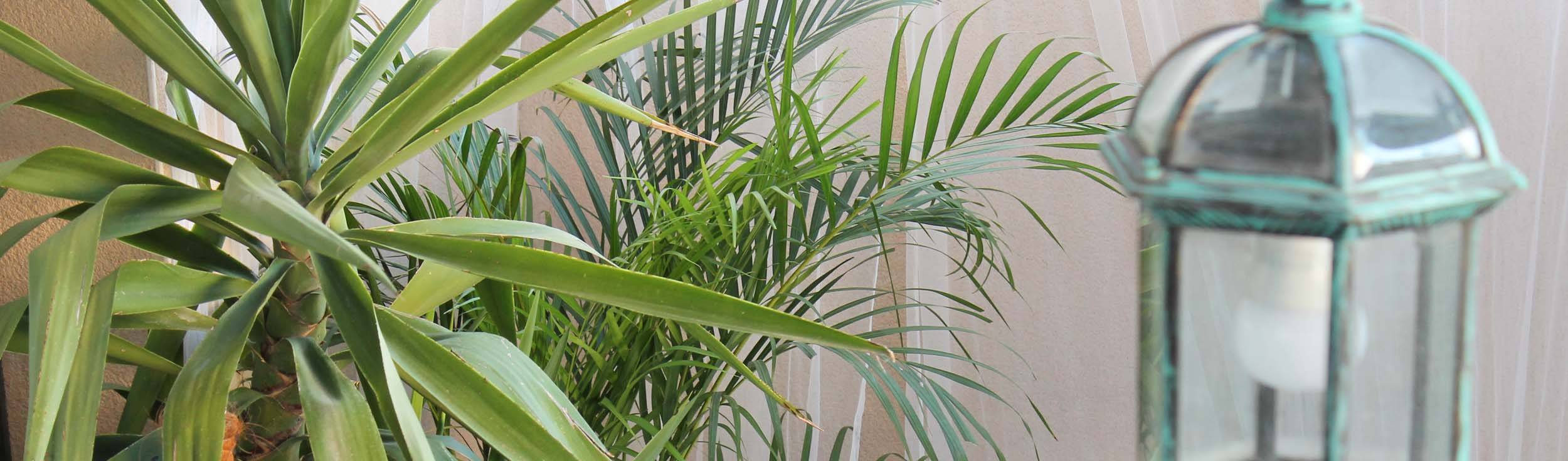 Neus Conesa Diseño de Interiores