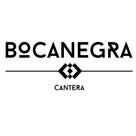 Bocanegra Cantera