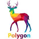 Polygon Designs