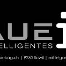 Haueis AG