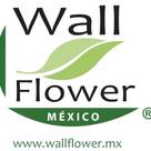 Wallflower Mexico SA de CV