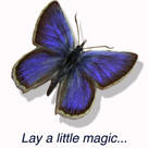 Blue Butterfly Flooring