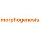 Morphogenesis