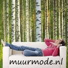 Muurmode