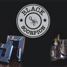 Black Scorpion Limited