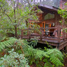 Woodlands Rainforest Retreat