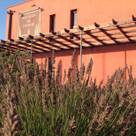 COLLINES DE PROVENCE