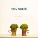 Palm studio