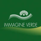 Immagine Verde