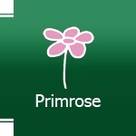 Primrose