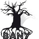 BANY International B.V.