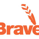 Brave Toys