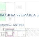 ESTRUCTURA RIZOMATICA C.A.