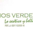 INDIOS VERDES C.A