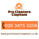 Cleaner Clapham