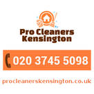 Professional Cleaners Kensington