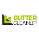 Gutter Cleanup