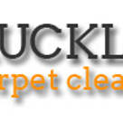 Carpet cleaners auckland
