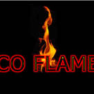 EcoFlames