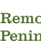 Expert Removals Peninsula
