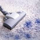 Carpet Cleaning Wellington