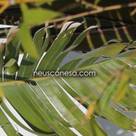 Neus Conesa Diseño de Interiores