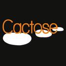Cactose by Couleurs de Provence