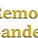 Organised Removals Sanderstead