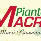 Piante Macrì