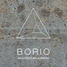 Borio Arquitectura y Diseño