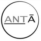 ANTA Design