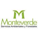 Monteverde Ltda