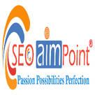 SEO Aim Point Web Solution Private Limited