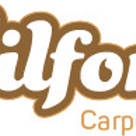 Wilford&#39;s Carpet Cleaning in Balham