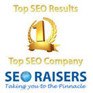 Seoraisers – Best SEO Company in Chandigarh &amp; Mohali