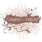 Creation Of Nature