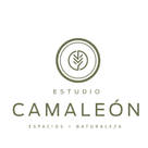 ESTUDIO CAMALEON