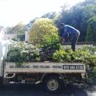 FEM TREE FELLING AND  RUBBLE REMOVALS