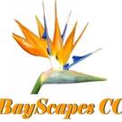 BayScapes