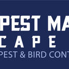 Pest Managers Cape Town—Pest Control
