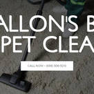 O&#39;Fallon&#39;s Best Carpet Cleaner