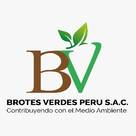 BROTES VERDES PERU SAC