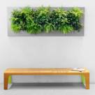 Eco Green Plant &amp; Design